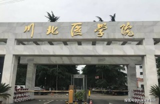 2024澳门六今晚开奖记录_ 麻醉漏考548分，医学影像漏考549分，川北医学院2024年专业成绩为